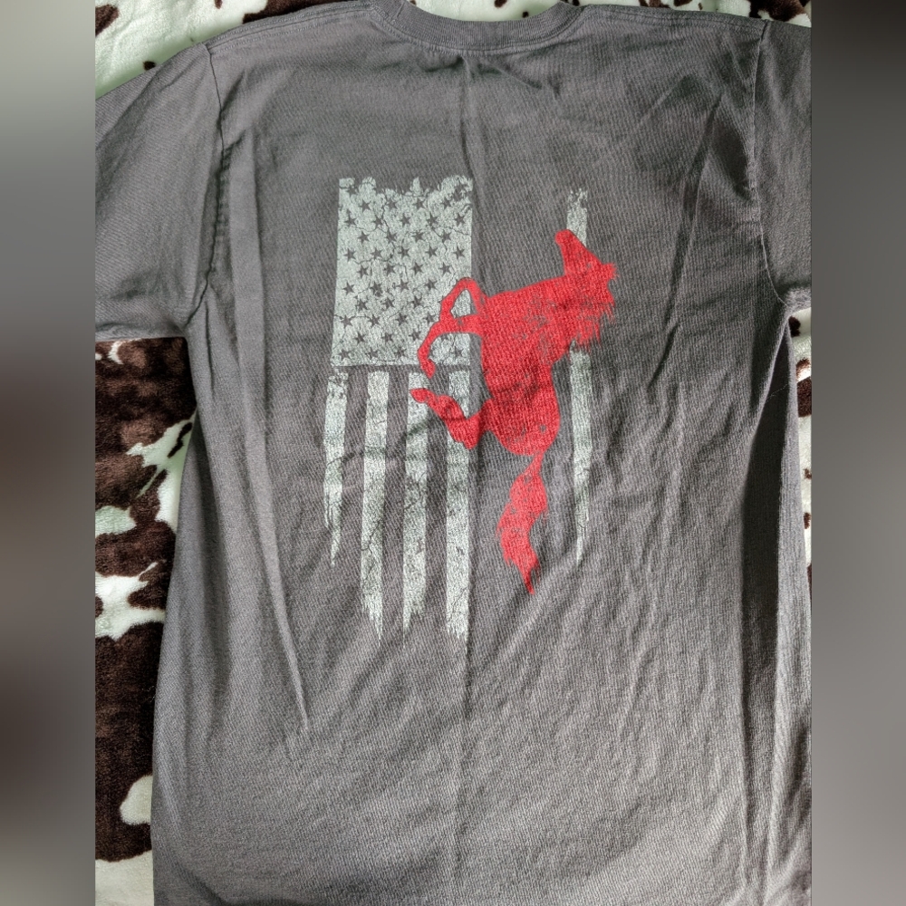 Hanes Gray American Horse Tee!